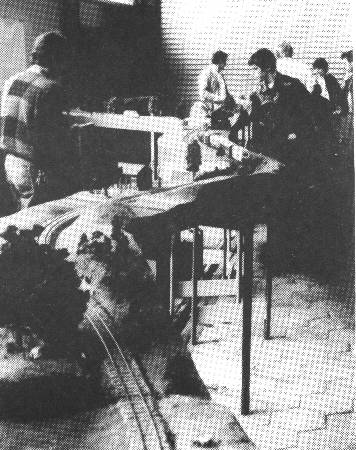 Modularrangement mit Beinen